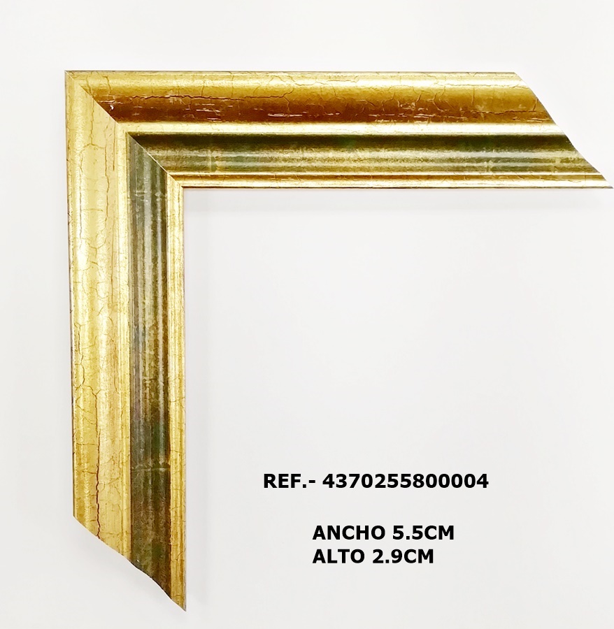 MOLDURA REF.- 4370255800004