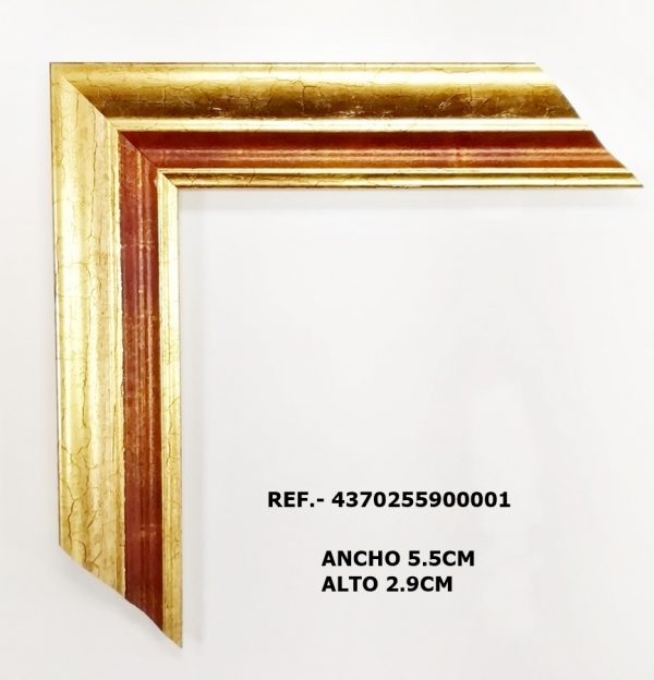 MOLDURA REF.- 4370255900001