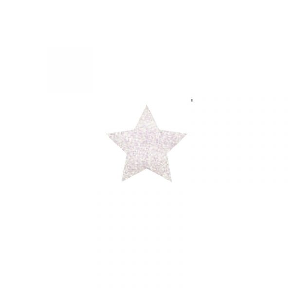 GLITTER POWDER PEN HOLOGRÁFICO BLANCO 10GR - Imagen 2