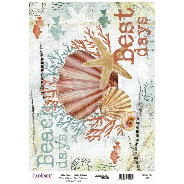 Papel de Arroz Nº799 CONCHAS