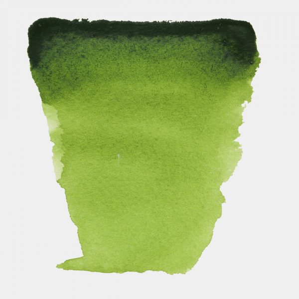 VAN GOGH, Nº623, TUBO 10ML, VERDE VEJIGA - Imagen 2